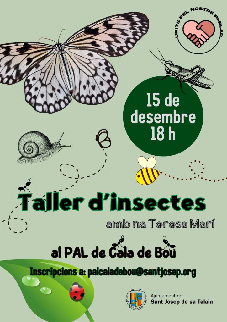 Taller d’insectes, amb Teresa Marí