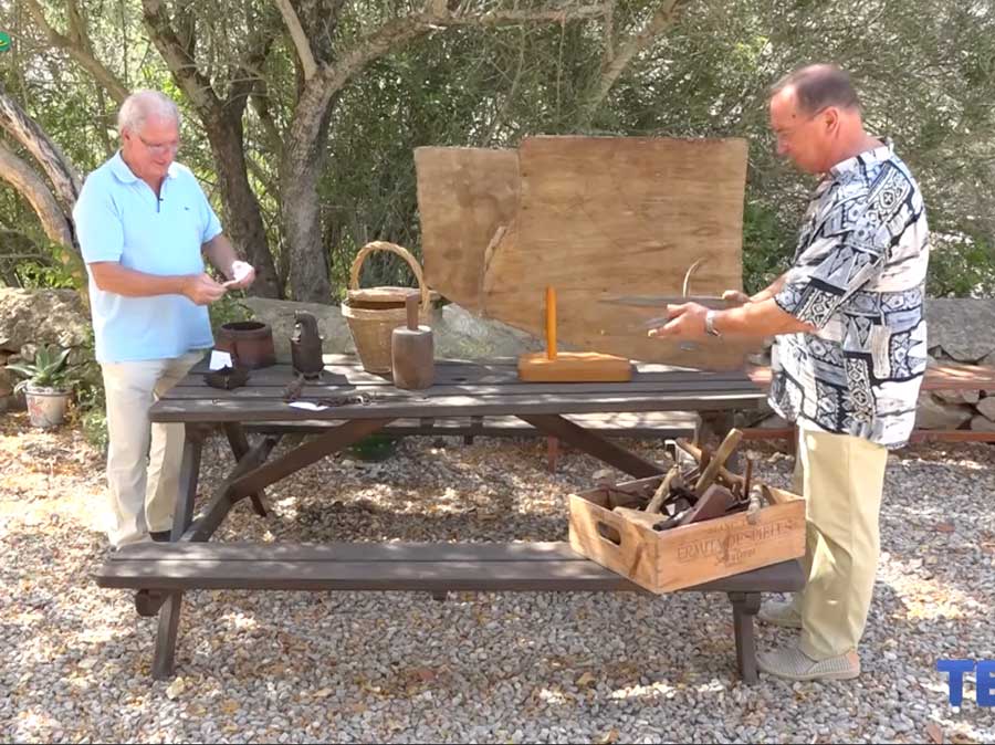 TEF - Exposició “Mar i terra”