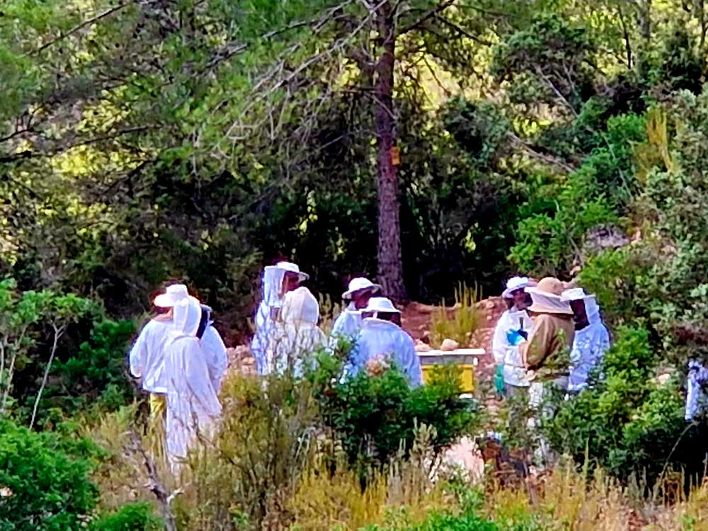 Itinerari guiat per la vall des Rafal Trobat